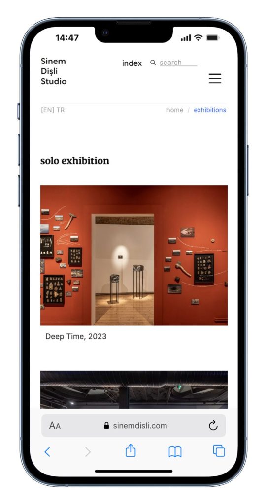 Sinem Dişli mobile website UI